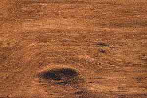 Линолеум Novoflor Extra Styl 4800-15 фото  | FLOORDEALER