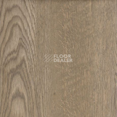 Relux Classic 5мм SCL 6631 v4 Дуб Монтана фото 2 | FLOORDEALER