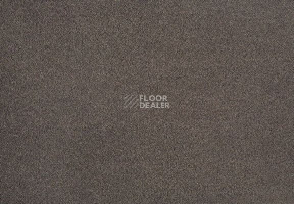 Ковролин Lano Zen 280 фото 1 | FLOORDEALER