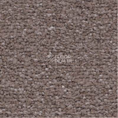 Ковролин Associated Weavers Mare 49 фото 1 | FLOORDEALER