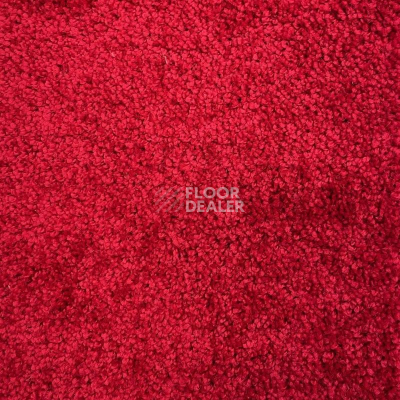 Ковролин Либерти 10095 фото 1 | FLOORDEALER