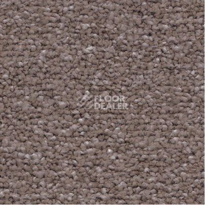Ковролин Associated Weavers Mare 49 фото 1 | FLOORDEALER