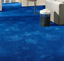 Vorwerk Superior 1064/Lyrica Vorwerk 3q63 фото 2 | FLOORDEALER