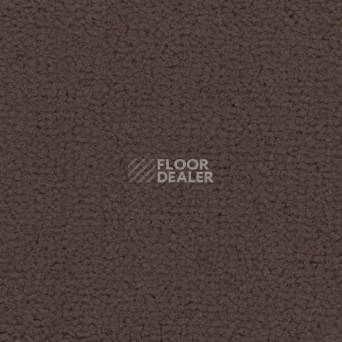 Ковролин Balsan Embleme 760 фото 1 | FLOORDEALER