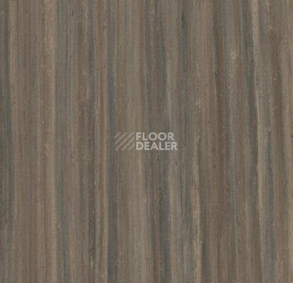 Кварцвиниловые полы Marmoleum Modular Lines 5231 фото 1 | FLOORDEALER