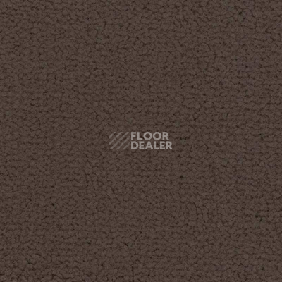 Ковролин Balsan Embleme 760 фото 1 | FLOORDEALER