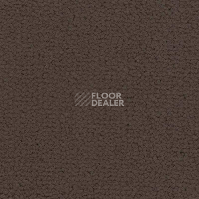 Ковролин Balsan Embleme 760 фото 1 | FLOORDEALER