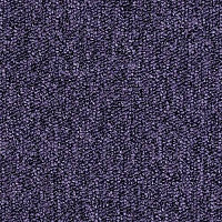 Desso Tempra-Brlm 3922 фото 1 | FLOORDEALER