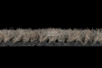 Coral Interior 1520 Desert Sand фото 4 | FLOORDEALER