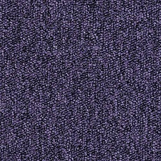 Desso Tempra-Brlm 3922 фото 1 | FLOORDEALER