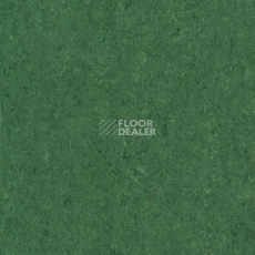 Линолеум Marmorette DLW 2.5mm 121-041 фото 1 | FLOORDEALER