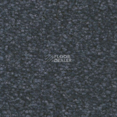 Ковровая плитка Forbo Tessera Acrobat 1301 фото 1 | FLOORDEALER