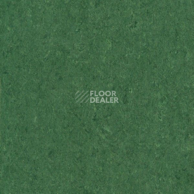 Линолеум Marmorette DLW 2.5mm 121-041 фото 1 | FLOORDEALER