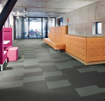 Marmoleum Modular te3725 Welsh slate фото 2 | FLOORDEALER