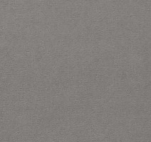 Ковролин Vorwerk Passion 1021 Vorwerk 5t22 фото 1 | FLOORDEALER