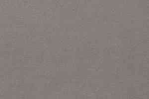 Ковролин Vorwerk Passion 1021 Vorwerk 5t22 фото  | FLOORDEALER