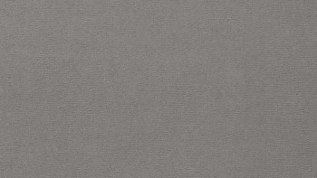 Ковролин Vorwerk Passion 1021 Vorwerk 5t22 фото 1 | FLOORDEALER