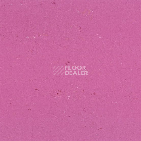 Линолеум Gerflor Colorette 0110 Cadillac Pink фото 1 | FLOORDEALER