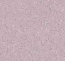 Линолеум Forbo Sphera Element 50070 soft violet фото 1 | FLOORDEALER