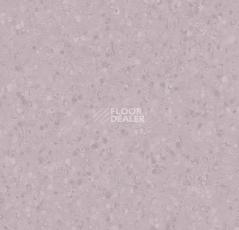 Линолеум Forbo Sphera Element 50070 soft violet фото 1 | FLOORDEALER