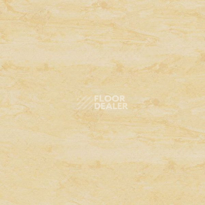 Кварцвиниловые полы Polyflex Plus PU 7370 фото 1 | FLOORDEALER