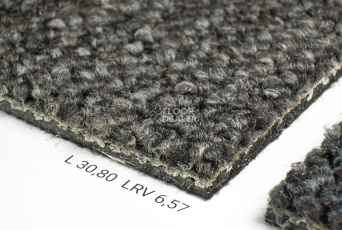 Desso Desert 9532 фото 5 | FLOORDEALER