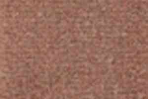 Ковролин Tapibel Casa 24830 фото  | FLOORDEALER