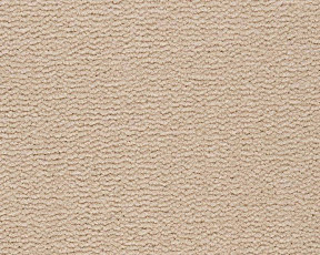 Ковролин Best Wool Pure Tasman 114 фото 1 | FLOORDEALER