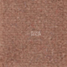 Ковролин Tapibel Casa 24830 фото 1 | FLOORDEALER