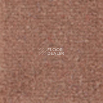 Ковролин Tapibel Casa 24830 фото 1 | FLOORDEALER