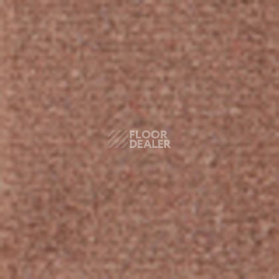 Ковролин Tapibel Casa 24830 фото 1 | FLOORDEALER