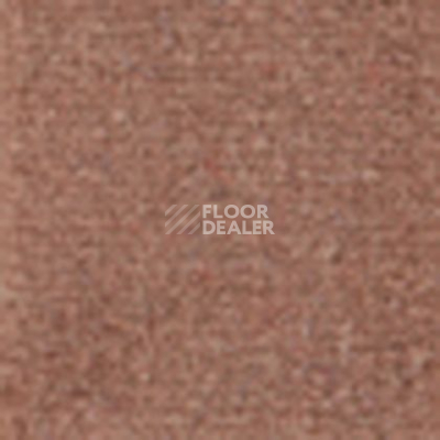 Ковролин Tapibel Casa 24830 фото 1 | FLOORDEALER