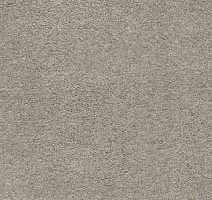 Ковролин AW Sauvage 39 фото 1 | FLOORDEALER