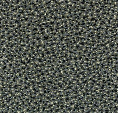 Ковровая плитка Westbond Flex Nf 152154 фото 1 | FLOORDEALER