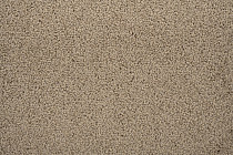 Haima Lounge x 4453 фото 2 | FLOORDEALER