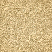 Ковролин AW Ganges 35 фото 1 | FLOORDEALER