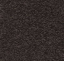 Ковролин AW Tresor 44 фото 1 | FLOORDEALER