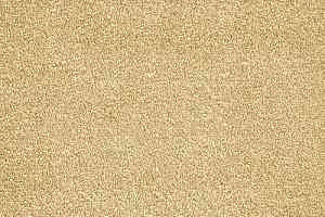 Ковролин AW Ganges 35 фото  | FLOORDEALER