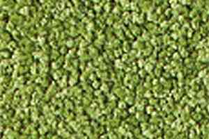 Ковролин Girloon Prestige 450 фото  | FLOORDEALER