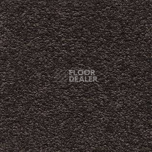 Ковролин AW Tresor 44 фото 1 | FLOORDEALER