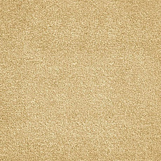 Ковролин AW Ganges 35 фото 1 | FLOORDEALER