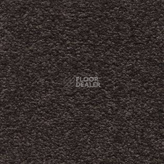 Ковролин AW Tresor 44 фото 1 | FLOORDEALER