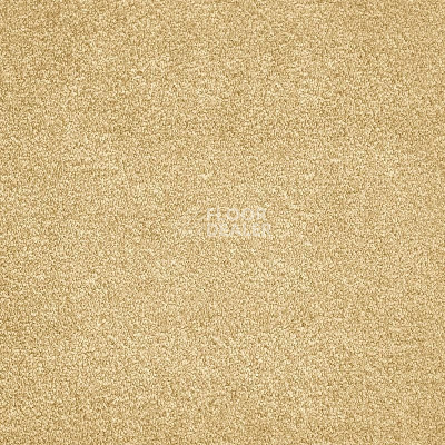 Ковролин AW Ganges 35 фото 1 | FLOORDEALER