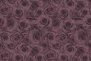 Ковролин Ege Highline Nature rf 52755431 фото  | FLOORDEALER