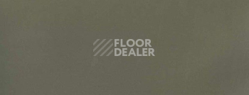 Плинтус Dollken Ts60 Life Тop 1245 фото 2 | FLOORDEALER