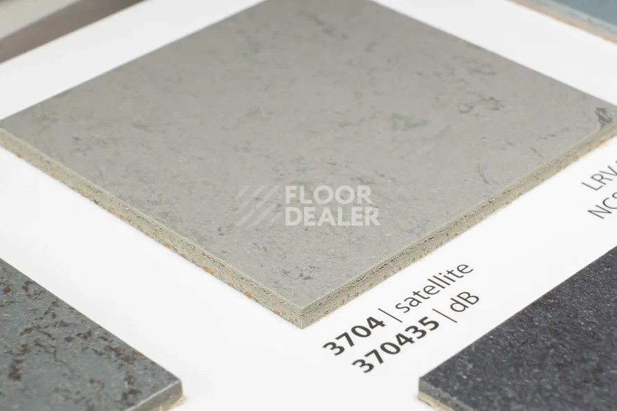 Линолеум Marmoleum Solid Concrete 3704-370435 satellite фото 1 | FLOORDEALER