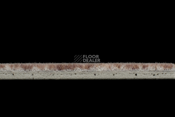 Flotex Colour Calgary 50*50 t 590023 Calgary Espresso фото 4 | FLOORDEALER