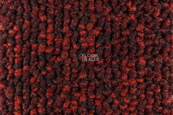 Season - Summer / Winter 590 фото 2 | FLOORDEALER