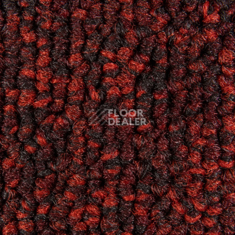 Balsan Season - Summer / Winter 590 фото 2 | FLOORDEALER