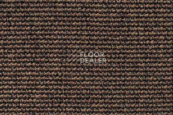 Ковролин Carpet Concept Eco Iqu 60238 фото 1 | FLOORDEALER